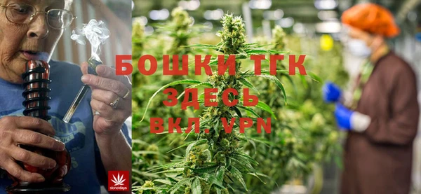 гидра Магас