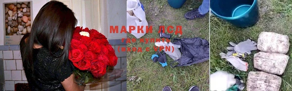 прущие грибы Алексеевка