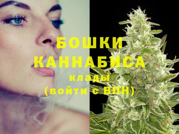 гидра Магас