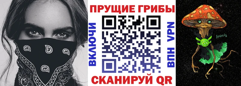 Галлюциногенные грибы мухоморы  закладка  Бердск 