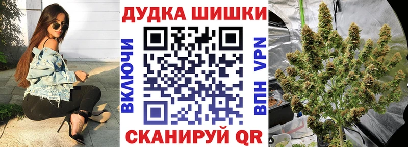 Бошки Шишки планчик  Бердск 